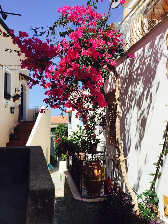 La Casa Di Ivana San Nicola Arcella Exterior foto
